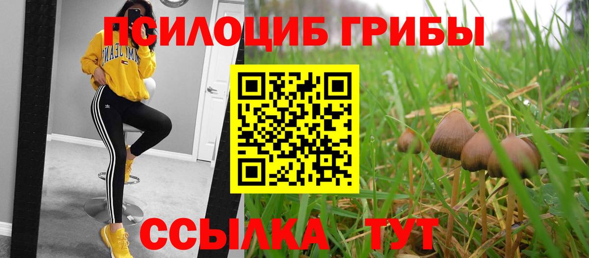 Псилоцибиновые грибы MAGIC MUSHROOMS Магнитогорск