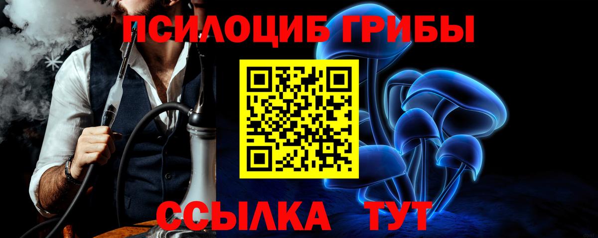 Магнитогорск  Галлюциногенные грибы Psilocybe  Вход с VPN 